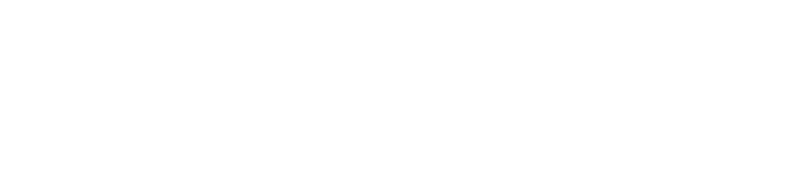 Amor en Acción — slogan oficial